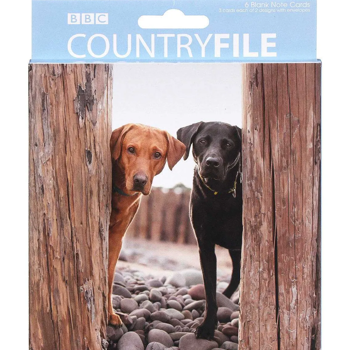 Countryfile Labradors & Spaniel Set Of 6 Blank Notecards>BBC New