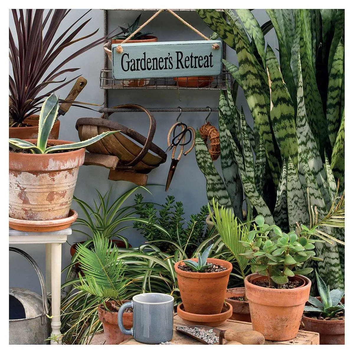 Gardeners' World - Gardener's Retreat Greetings Card>BBC Sale