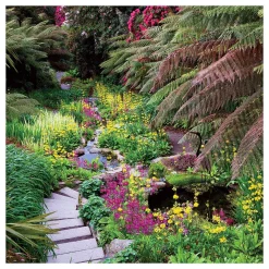 Gardeners' World - The Water Garden Greetings Card>BBC Discount