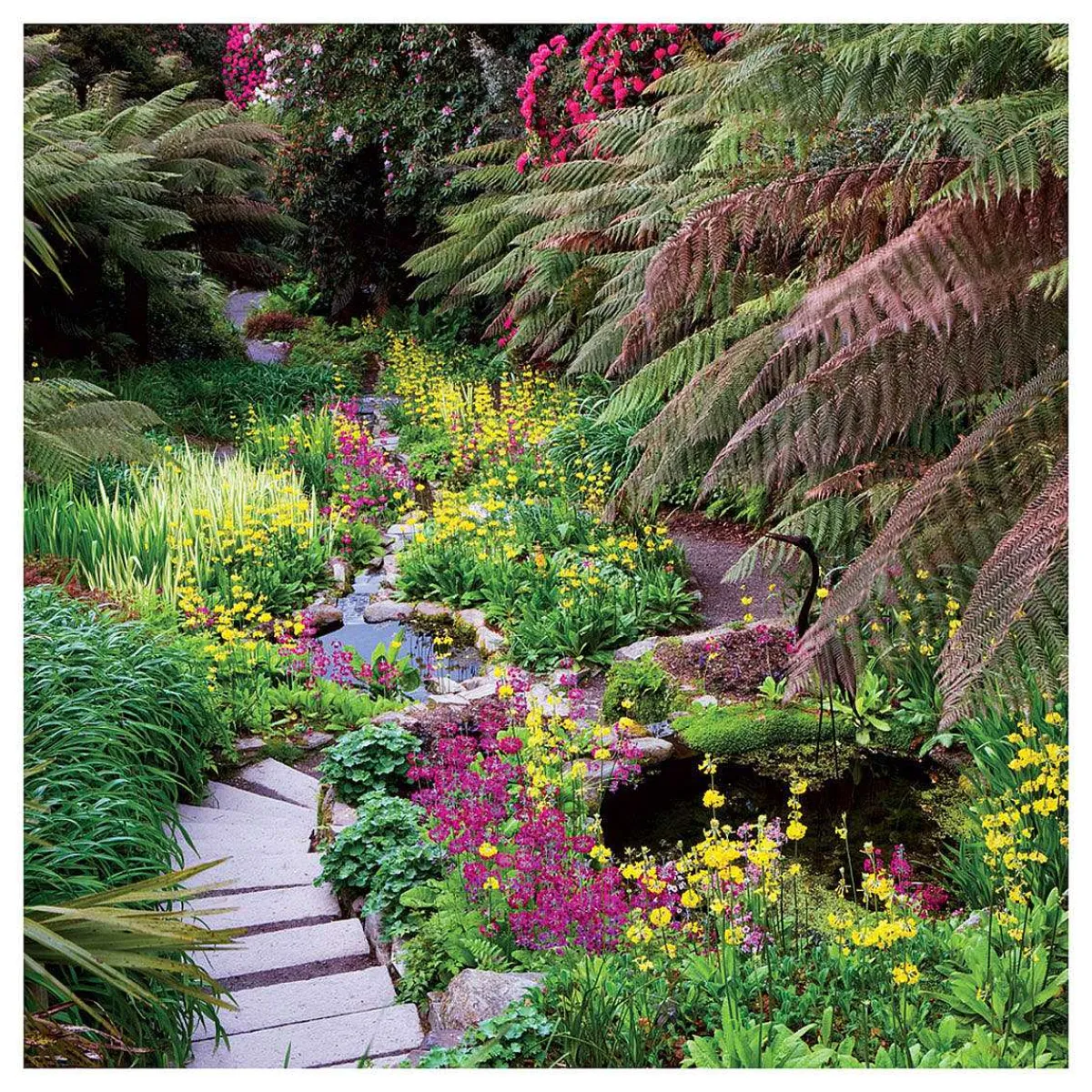 Gardeners' World - The Water Garden Greetings Card>BBC Discount