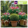 Gardeners' World - Tulip Displays Greetings Card>BBC Online