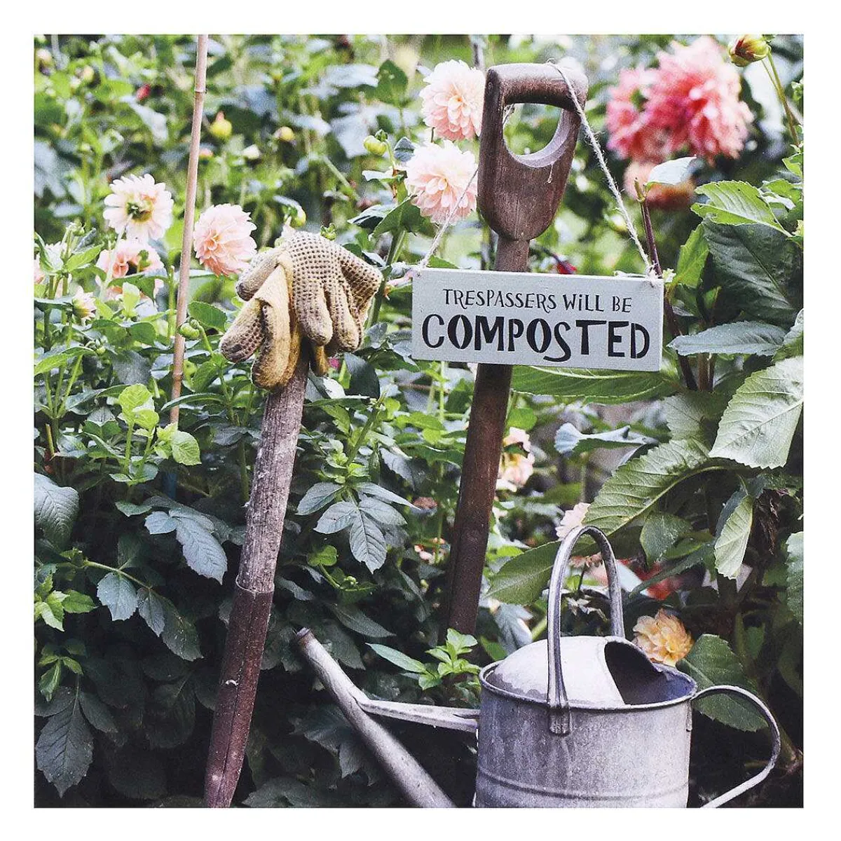 Gardeners' World Garden Signs Set Of 6 Blank Notecards>BBC Cheap