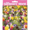 Gardeners' World Tulips & Sunrise Set Of 6 Blank Notecards>BBC Store