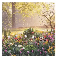 Gardeners' World Tulips & Sunrise Set Of 6 Blank Notecards><noscript><img width=
