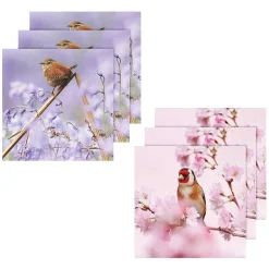 Springwatch Wren & Goldfinch Set Of 6 Blank Notecards>BBC Outlet