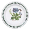 Primula 6.5 Inch Side Plate>Botanic Garden Flash Sale
