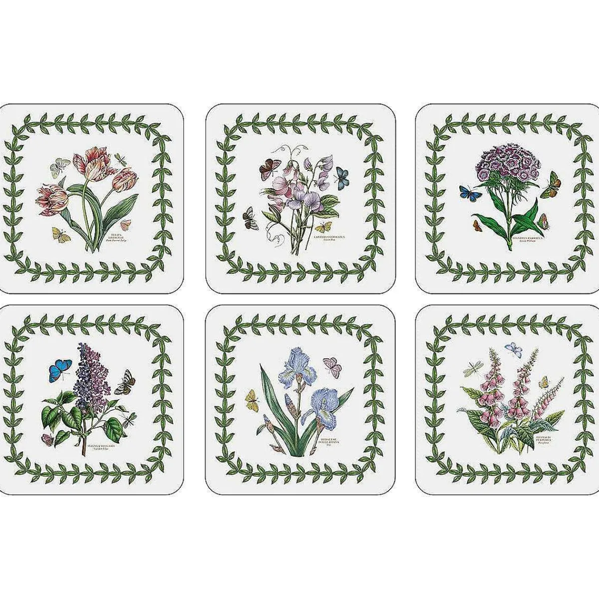 Set Of 6 Coasters>Botanic Garden Clearance