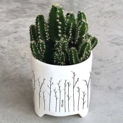 'Bloom' Planter><noscript><img width=