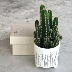 'Bloom' Planter><noscript><img width=