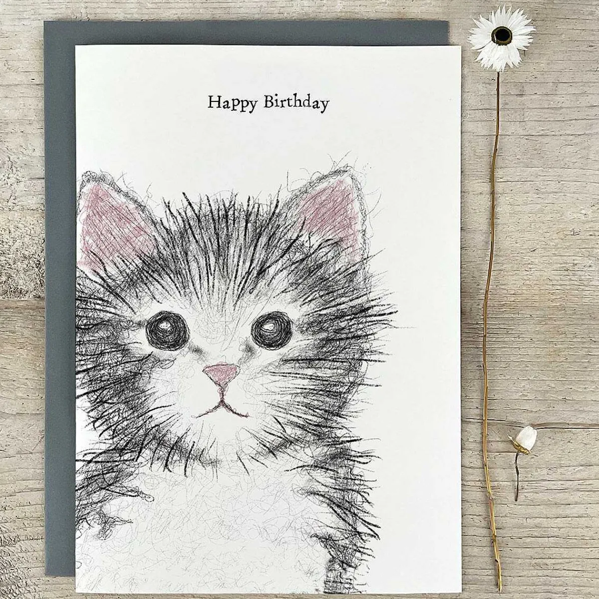 'Happy Birthday' Cat Extra Large Birthday Card>East of India Flash Sale