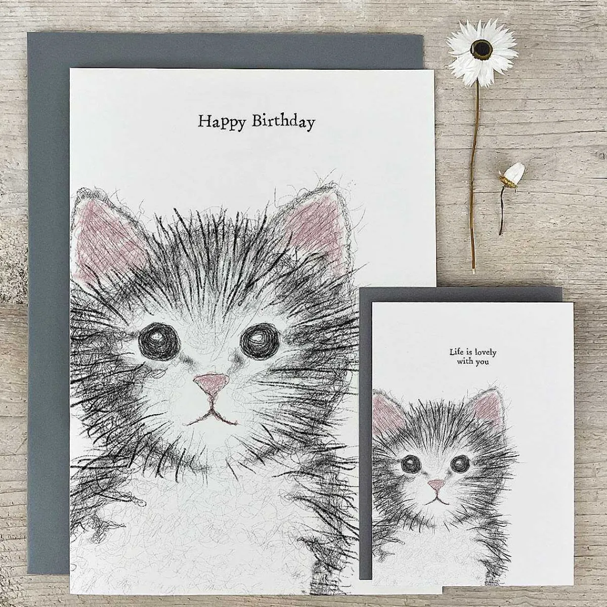 'Happy Birthday' Cat Extra Large Birthday Card>East of India Flash Sale