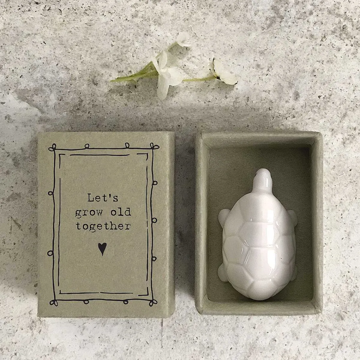 Matchbox Tortoise>East of India Cheap