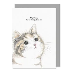 'Thank You For Looking After Me' Cat Card>East of India Clearance