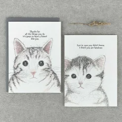 'Thanks For All The Things' Cat Card><noscript><img width=