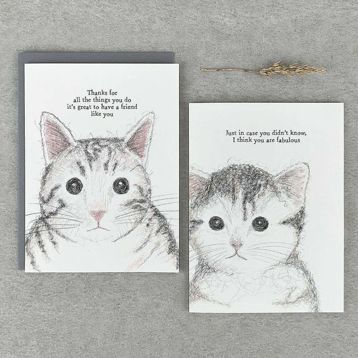 'Thanks For All The Things' Cat Card>East of India Discount