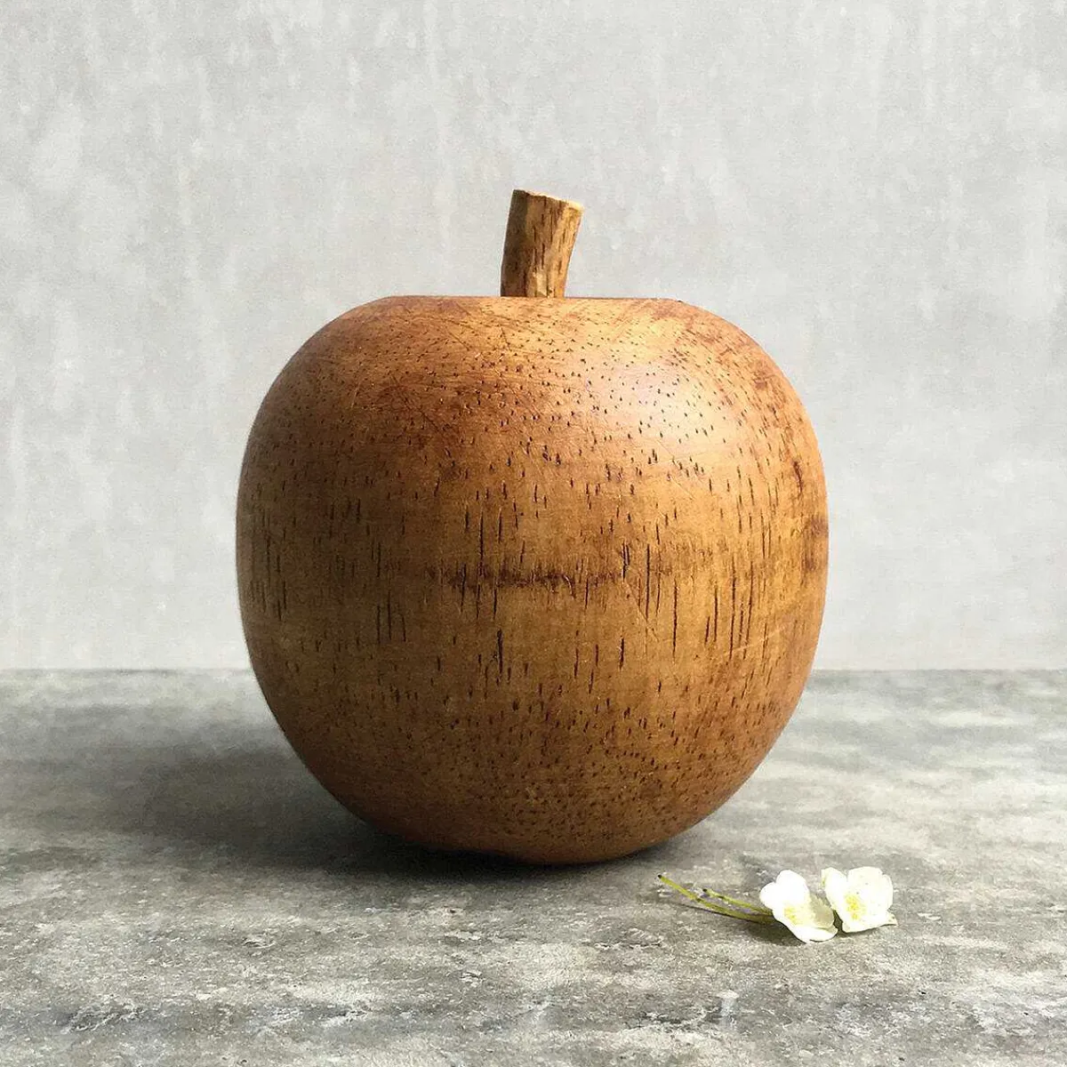 Wooden Apple>East of India Fashion