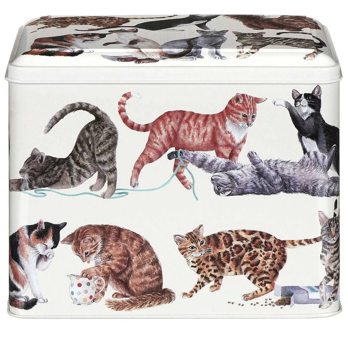 Rectangular Cat Treat Tin>Emma Bridgewater Sale