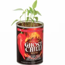 Grow Your Own Ghost Chilli>Funtime Outlet