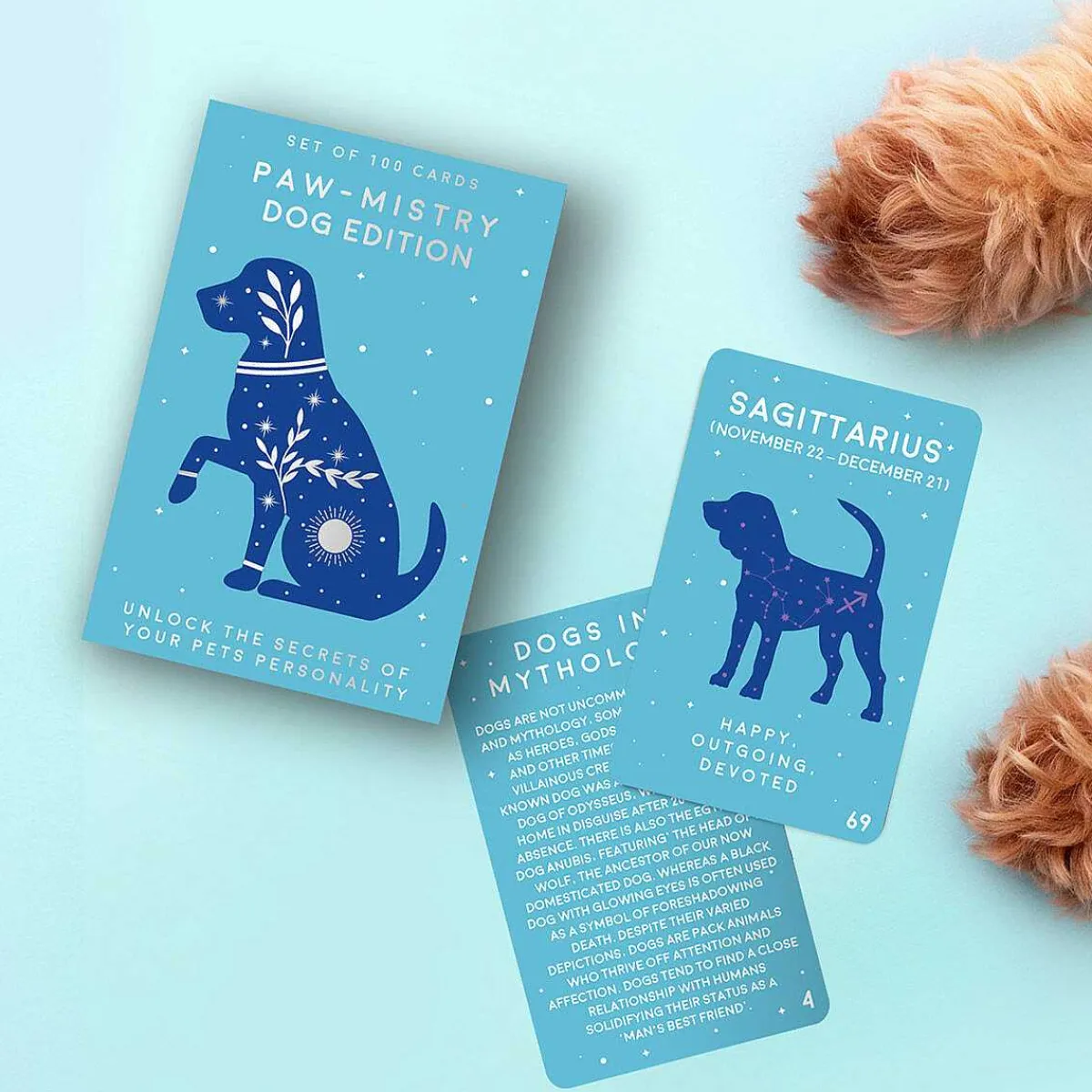 100 Paw-Mistry Dog Edition>Gift Republic Clearance