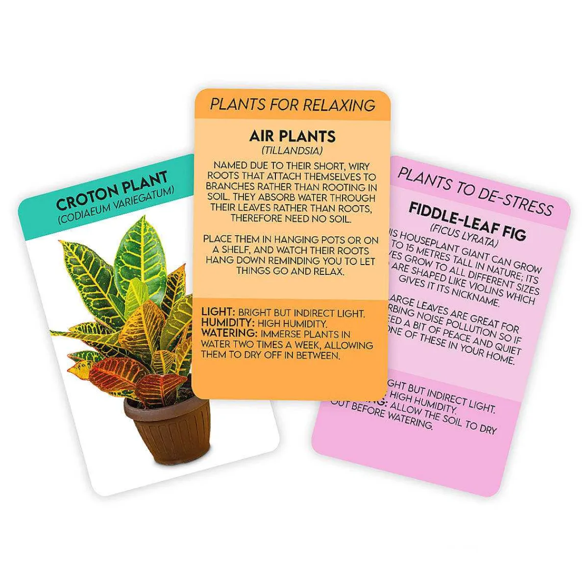 100 Positive Plant Cards>Gift Republic Cheap