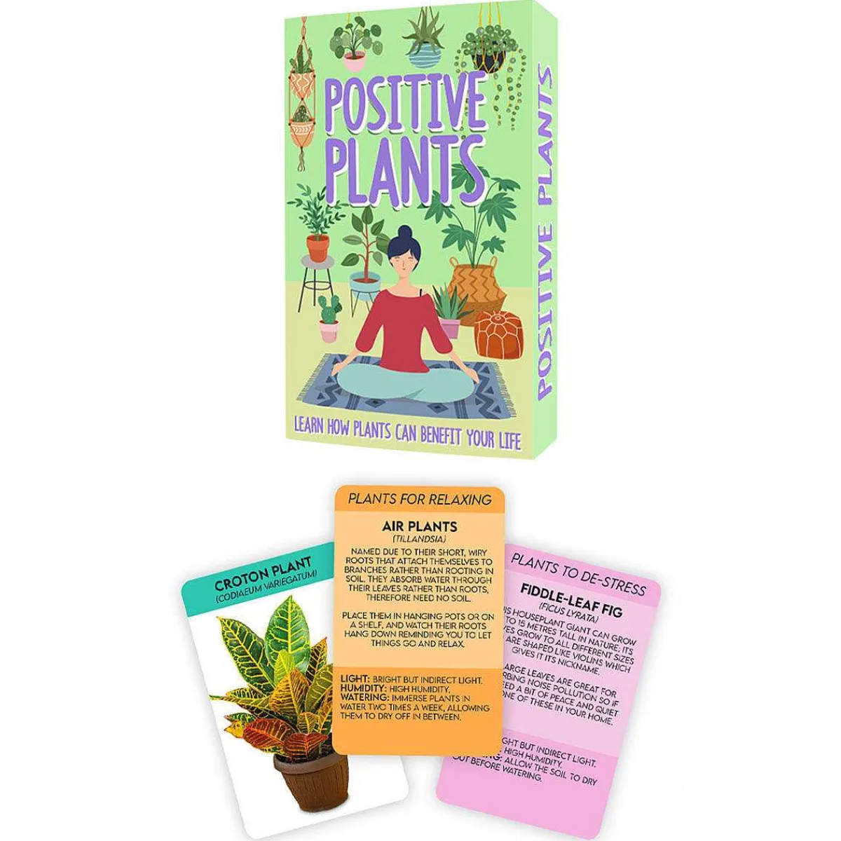 100 Positive Plant Cards>Gift Republic Cheap