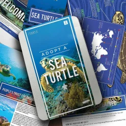 Adopt A Sea Turtle><noscript><img width=