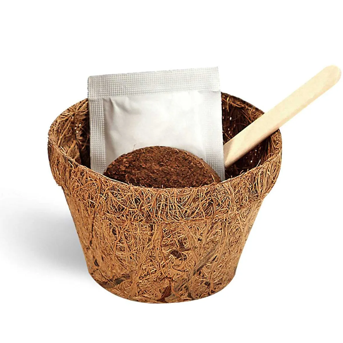 Be Happy Grow Me Sunflowers>Gift Republic New