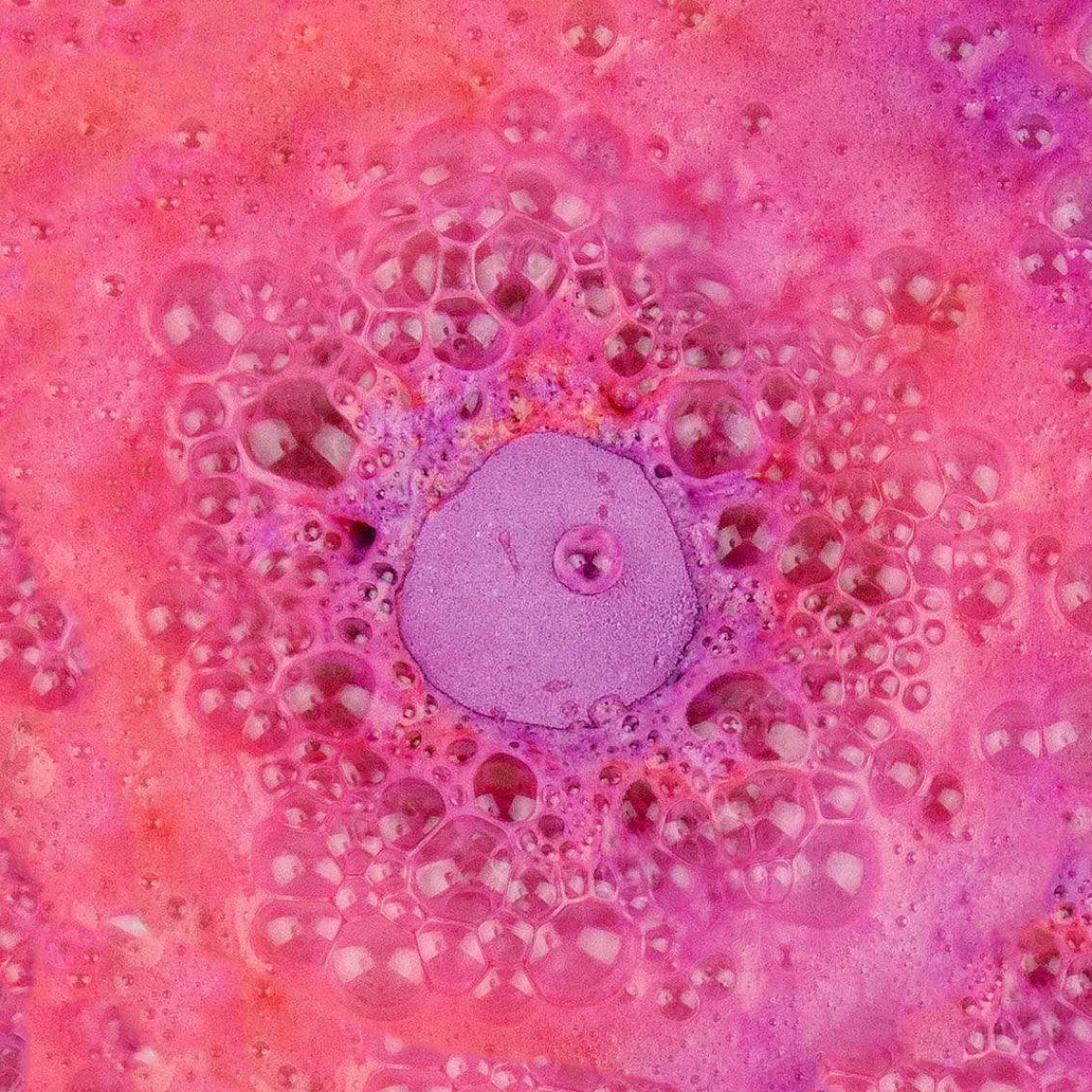 Diy Bath Bomb>Gift Republic Best Sale