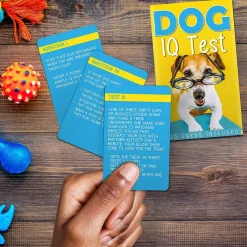 Dog Iq Test><noscript><img width=