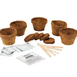 Grow It Chilli Plants>Gift Republic New