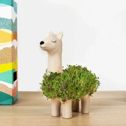 Llama Planter><noscript><img width=