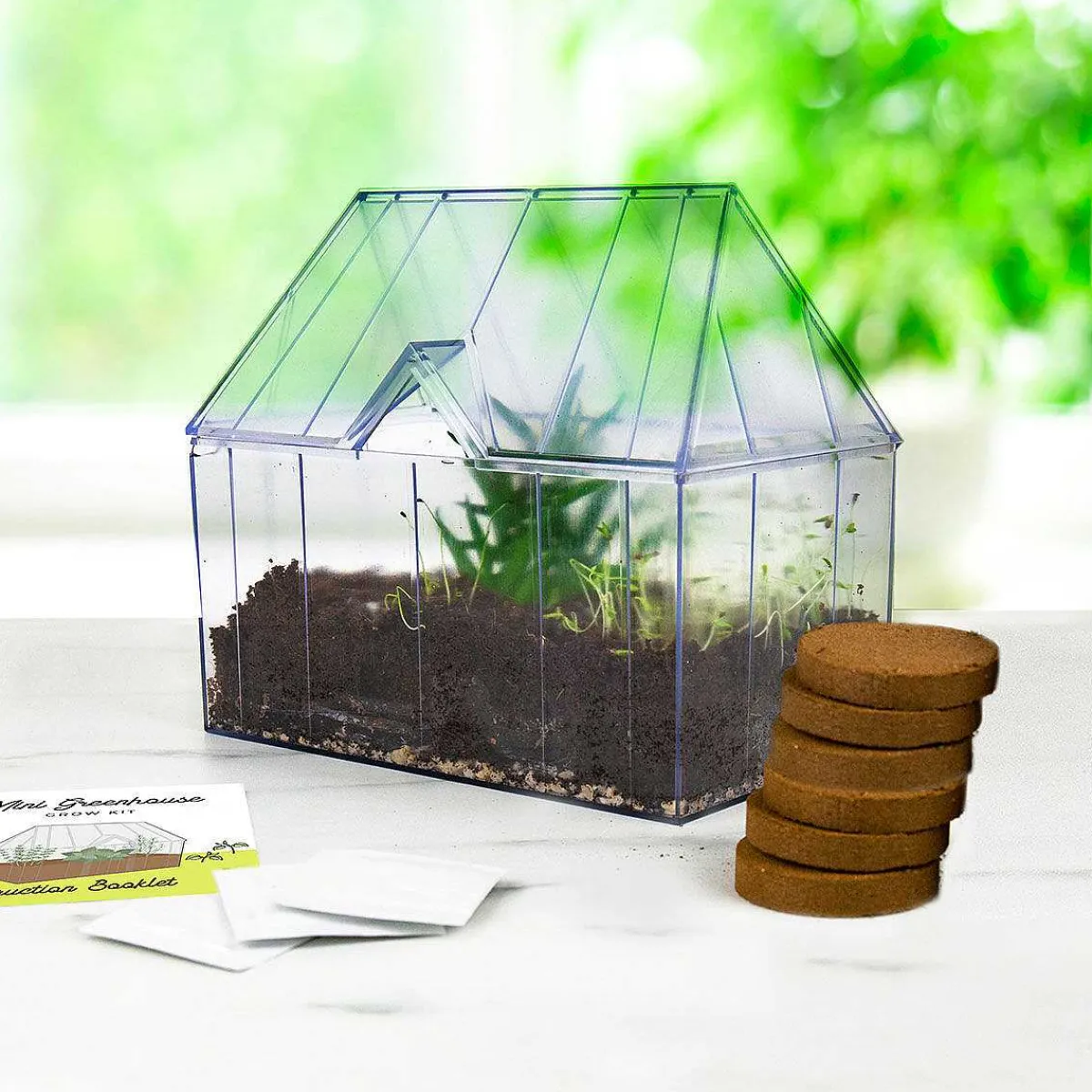 Mini Green House Grow Kit>Gift Republic Sale