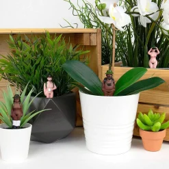 Plant Pot Naked Ramblers><noscript><img width=