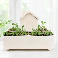 Self Watering House><noscript><img width=
