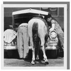 Holy Mackerel Black & White 'Horse Power' Greetings Card>Temptation Gifts Best Sale