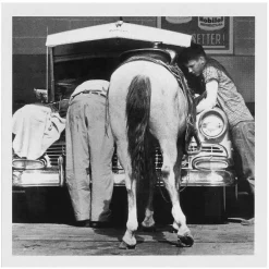 Holy Mackerel Black & White 'Horse Power' Greetings Card><noscript><img width=