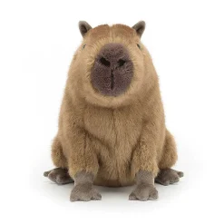Clyde Capybara><noscript><img width=