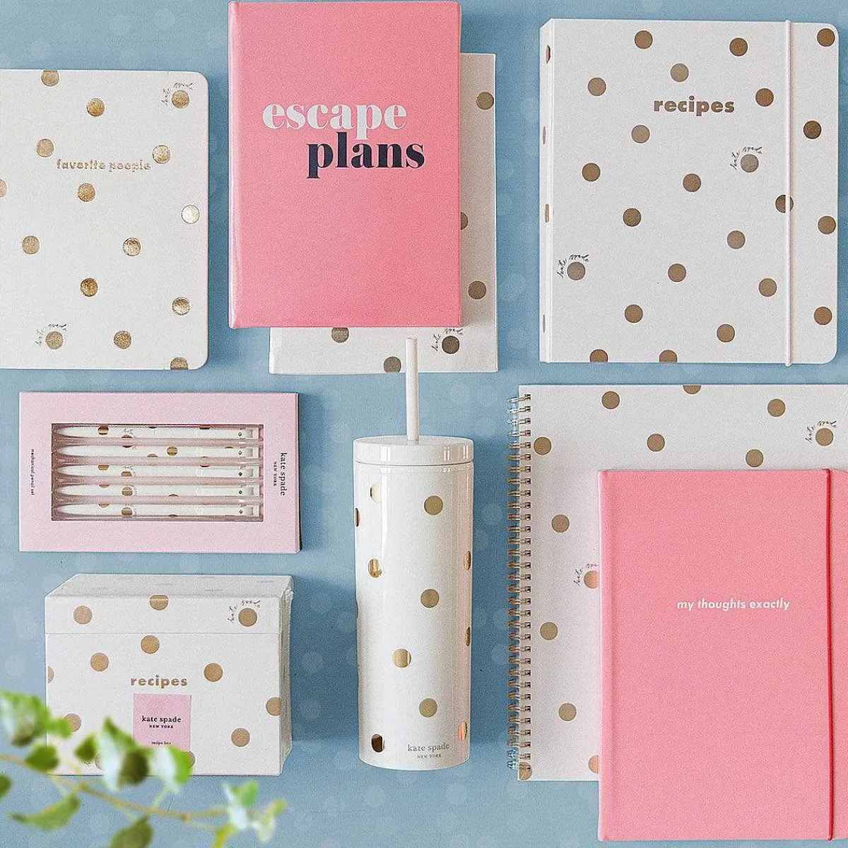 Gold Dot With Script Daily To-Do Planner>Kate Spade New York Best