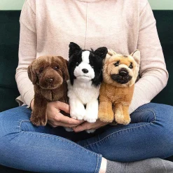 Border Collie Dog><noscript><img width=