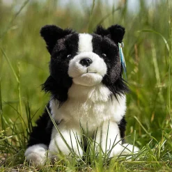 Border Collie Dog><noscript><img width=