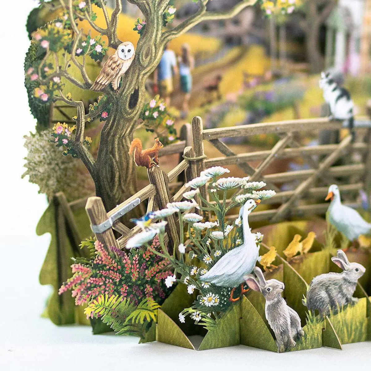 'Countryside' 3D Greetings Card>Me & McQ Cheap