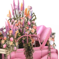 'The Pink Car' 3D Wedding Card>Me & McQ Outlet