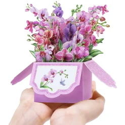 Florever 'Orchids' Pop-Up Flower Box Card><noscript><img width=