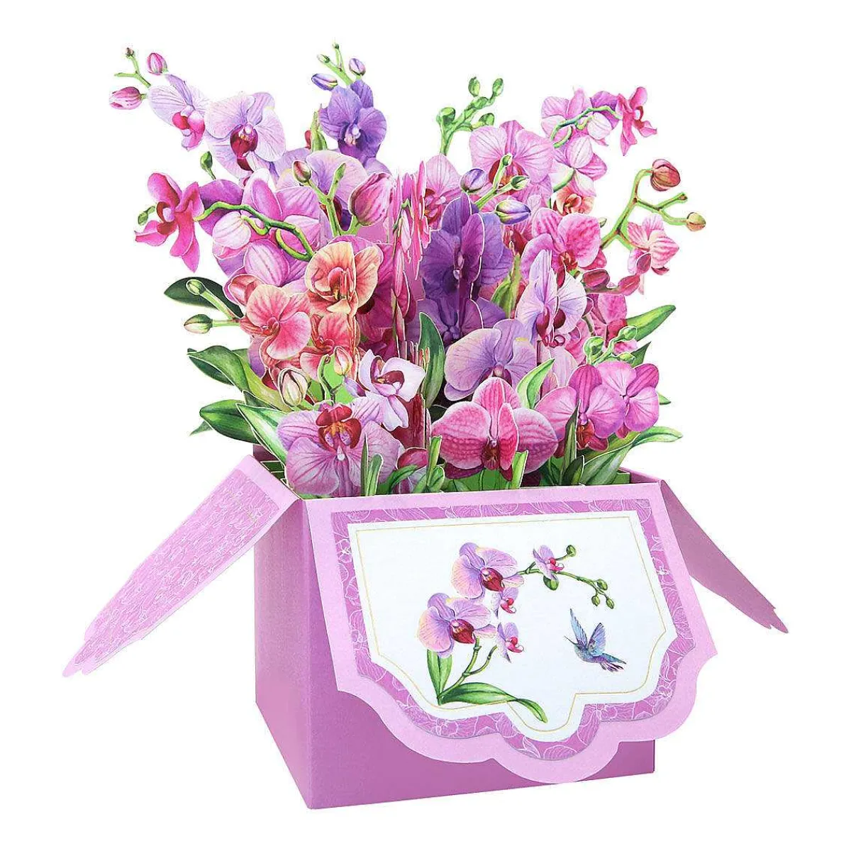 Florever 'Orchids' Pop-Up Flower Box Card>Origamo Hot