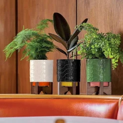 Debossed Sixties Stem Cream Ceramic Plant Pot><noscript><img width=