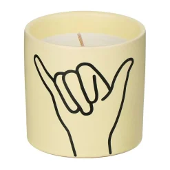 Impressions 163G 'Hang Loose' Ocean Rose & Bay Soy Candle>Paddywax Sale