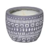 Sonora 85G Wildflowers & Birch Concrete Soy Candle>Paddywax Shop