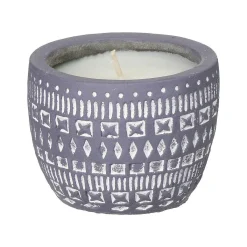 Sonora 85G Wildflowers & Birch Concrete Soy Candle>Paddywax Shop