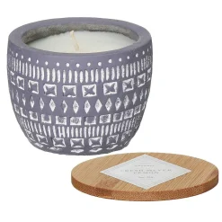 Sonora 85G Wildflowers & Birch Concrete Soy Candle>Paddywax Shop