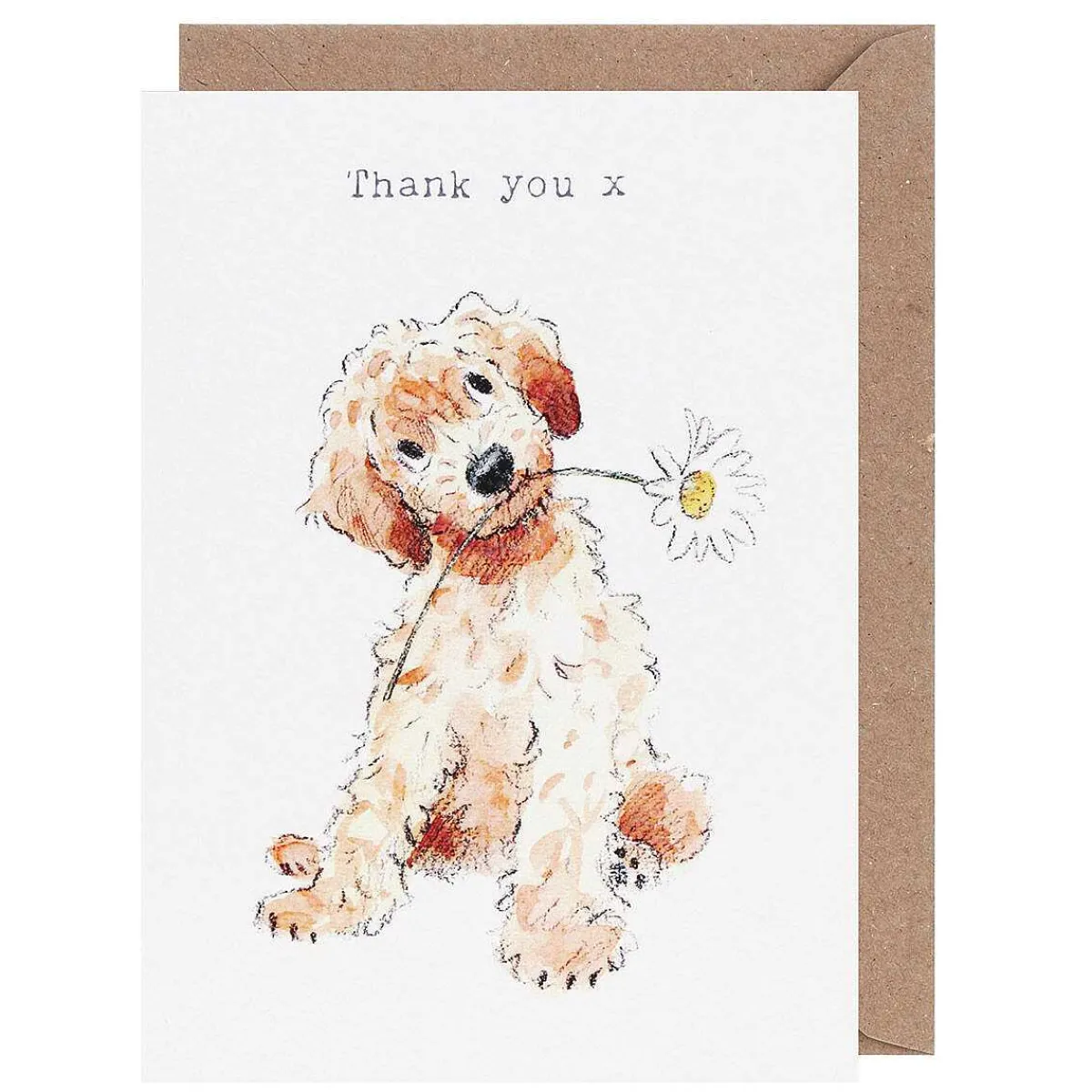 Cockapoo 'Thank You' Card>Paper Shed Designs Cheap
